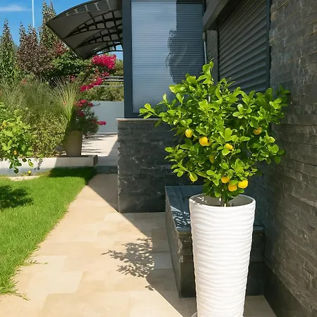 Vibavilla Elite Villa