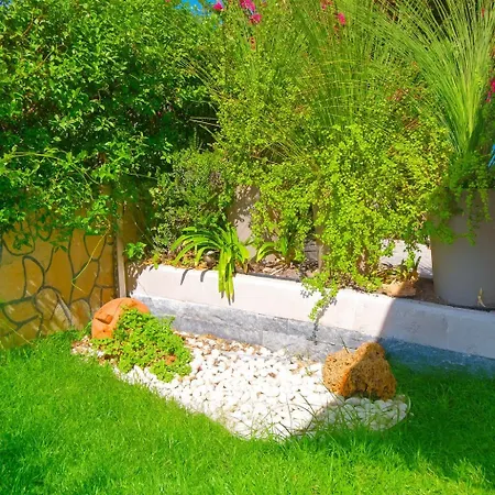 ヴィラ Vibavilla Elite